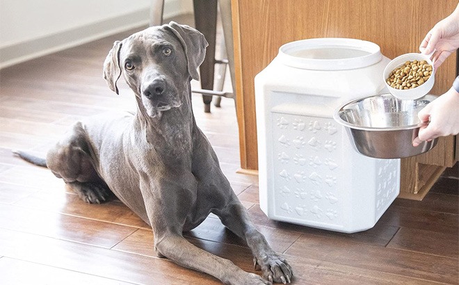 Airtight Pet Food Container $17.95!