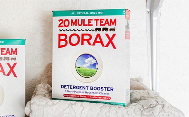 20 Mule Team Borax 4-Pack for $12