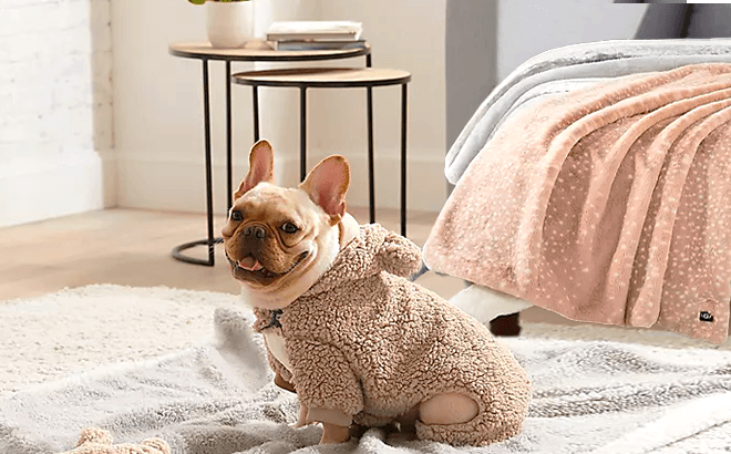 UGG Pets & Household Sale starting at $9.99