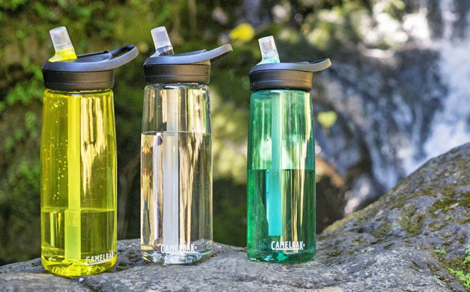 CamelBak 25-Ounce Water Bottle $10.70