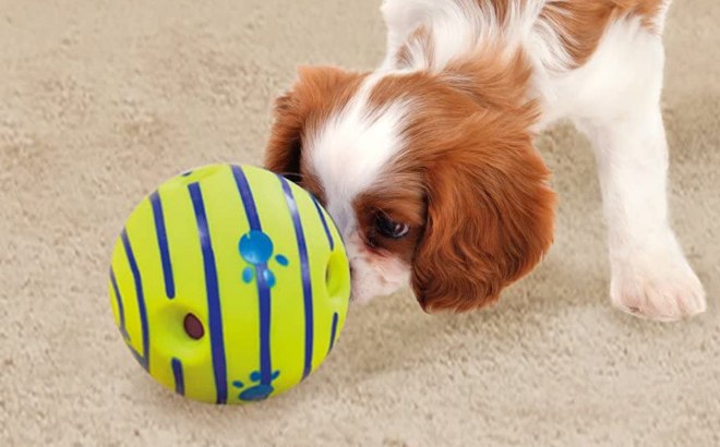 Interactive Dog Ball $6.89