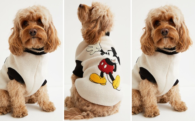 Mickey Mouse Dog Sweater $24.99 Shipped
