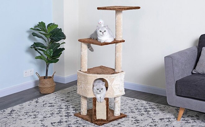 Cat Trees Up To 60% Off