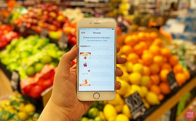 Hand Holding Phone with National Consumer Panel Rewards (or NCP) in Front of a Fruit Section in Store