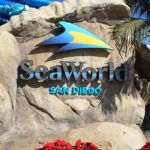 SeaWorld-San-Diego