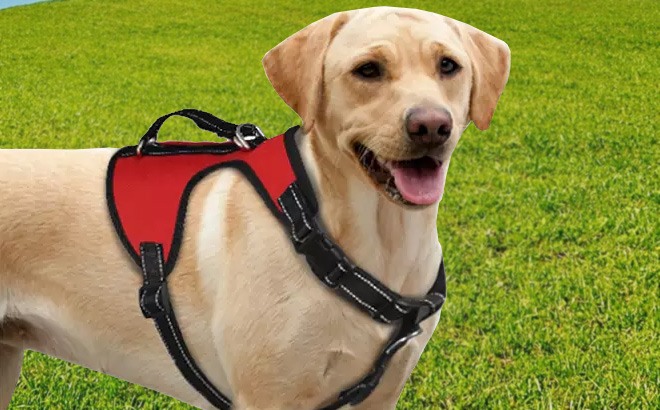 Dog Adjustable Harness $7.59