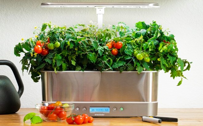 AeroGarden Indoor Garden $65 Shipped (Reg $180)