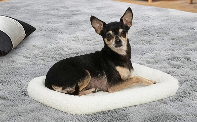 Fleece Bolster Bed for Small Dogs $7