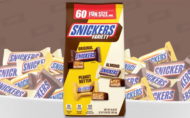 Snickers Fun Size 60-Count Bag $16.89