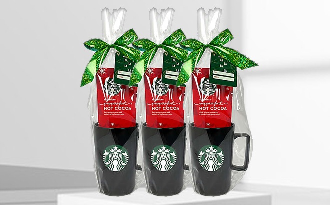 Starbucks Gift Set $6.99