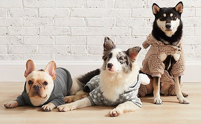 UGG Pet Sweaters $9.99 (Reg $20)