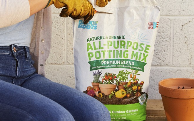 FREE Back to the Roots Potting Mix