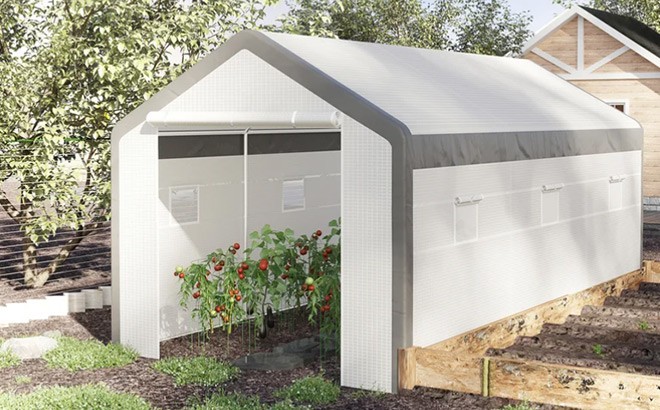 Greenhouses Up to 60% Off at Wayfair!