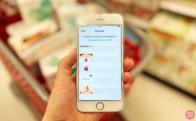 Hand Holding Phone with National Consumer Panel Rewards in Front of a Shopping Cart and a Shelf 