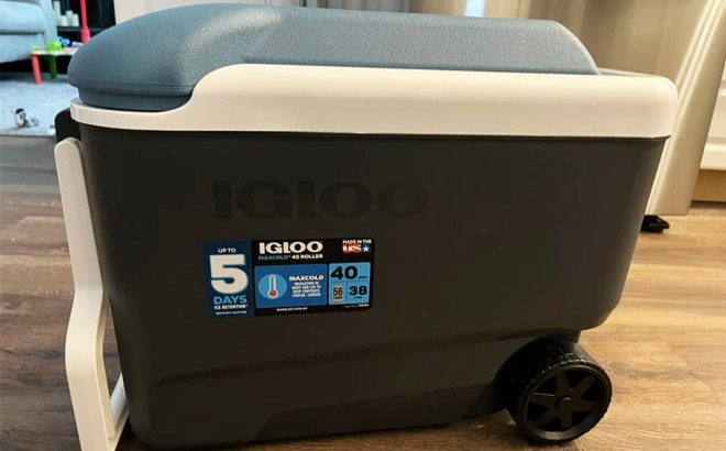 Target Clearance: Igloo 40-Quart Cooler $15
