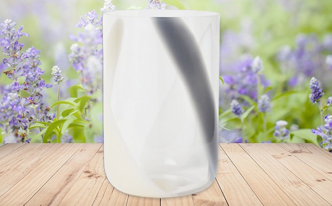Large Glass Vase $14.99 Shipped!