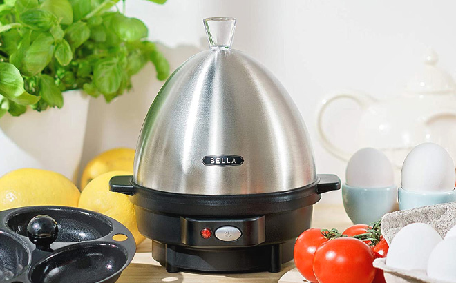 BELLA Rapid 7 Capacity Electric Egg Cooker on Top of a Table