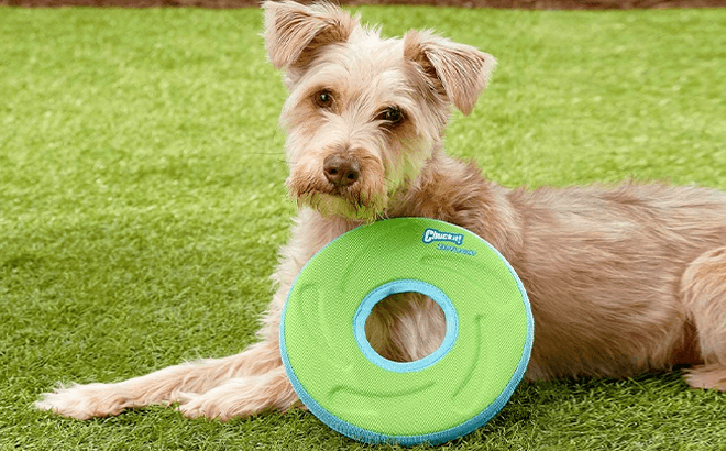 ChuckIt! Dog Frisbee $6.54 (Reg $13.99)