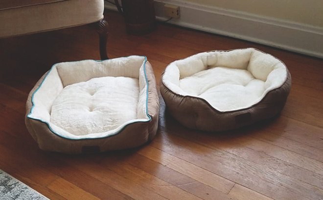 Small Dog Bed $16.99 (Reg $24)