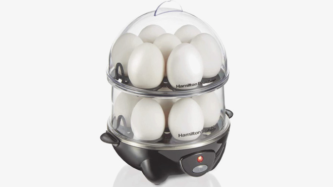 Hamilton Beach 3 in 1 Electric Hard Boiled Egg Cooker on White Background