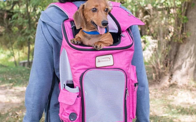 Pet Carriers Up to 50% Off!