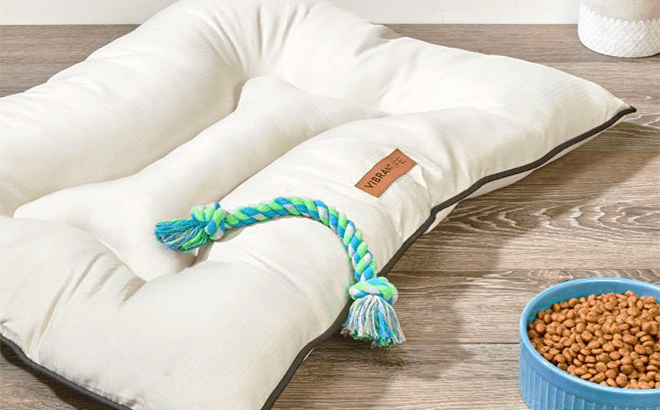 Vibrant Life Pet Beds $14.97