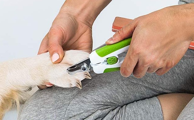 Pet Nail Clippers $3.99!