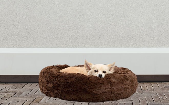 Cat and Dog Bed Only $19.99