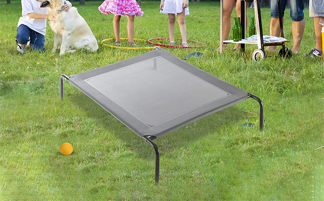 Elevated Dog Bed $28 Shipped