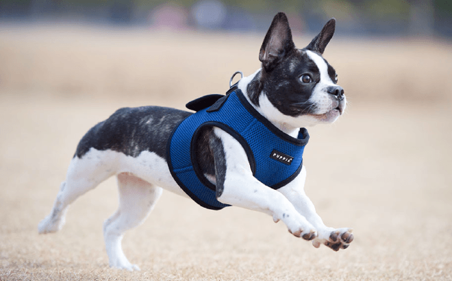 Puppia Soft Dog Harness $11.99