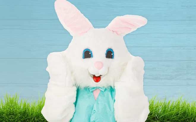 A Person Wearing an Easter Bunny Costume