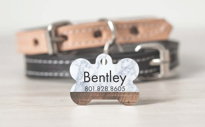 Double-Sided Pet Tags $9.99 Shipped