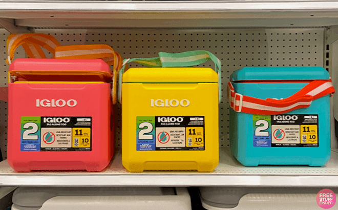 Vibrant Igloo Coolers at Target