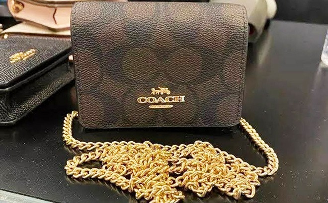 COACH® Outlet  Mini Wallet On A Chain In Signature Canvas