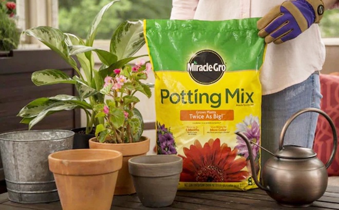 Miracle-Gro Potting Mix $6.98