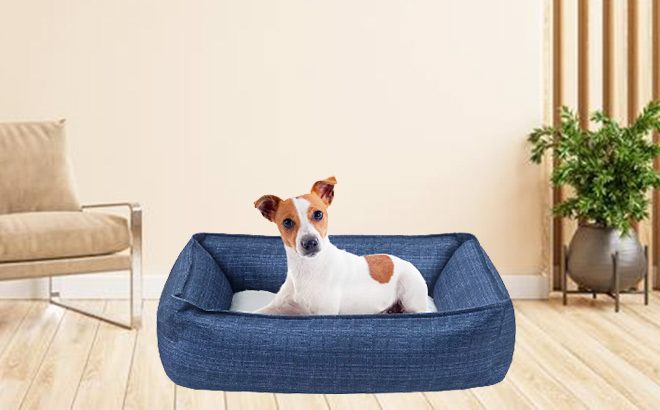 Small Pet Bed $9!