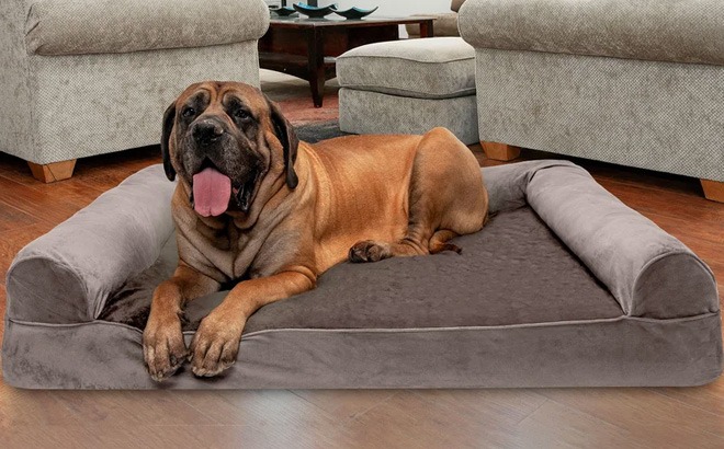 Pet Essentials Up to 70% Off