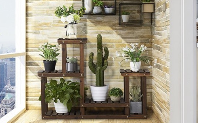 Multi-Tier Plant Stands $28