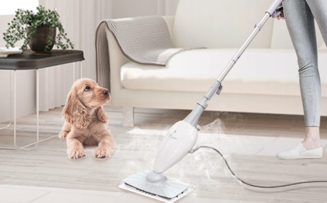 Light 'n' Easy Steam Mop $64 Shipped