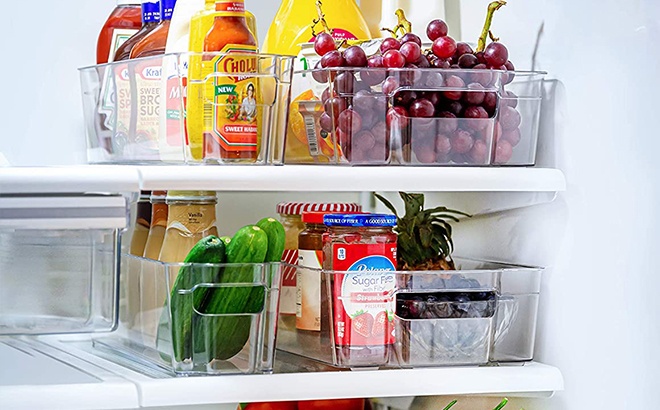 Fridge Bin 10-Piece Set $37 Shipped