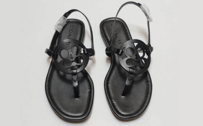 Coach Outlet Sandals $58 Shipped