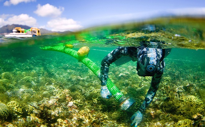 Donate $19, Get Back $30 ($11 Moneymaker)!