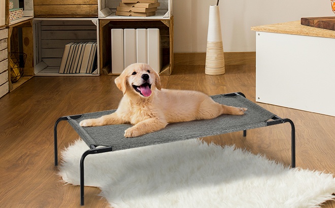 Elevated Dog Bed $14.99