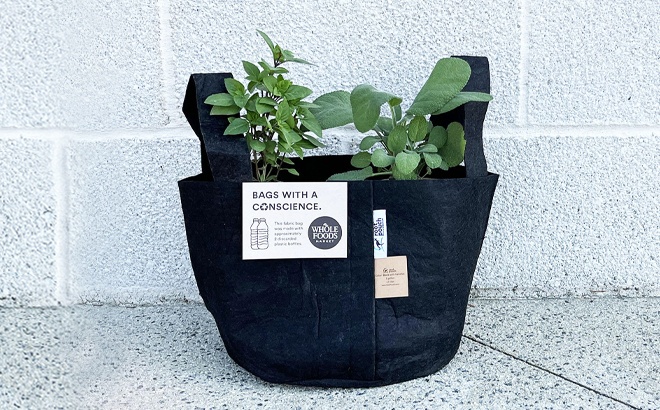 FREE Planting Kit at Whole Foods