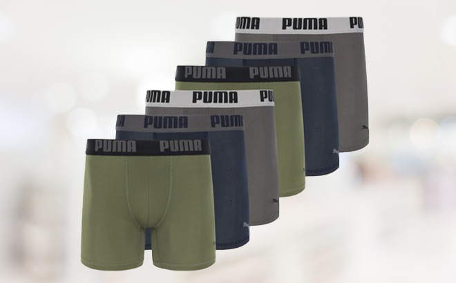 Puma Men's Briefs 6-Pack for $20.99