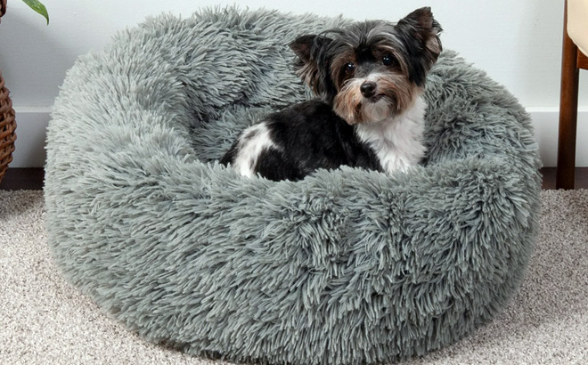 Pet Essentials Up to 70% Off!