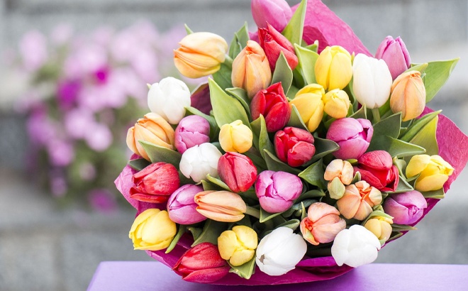 15-Count Tulips $9.99 at Whole Foods for Prime Members!