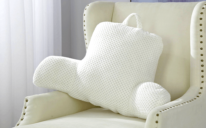 Backrest Pillows $12.99