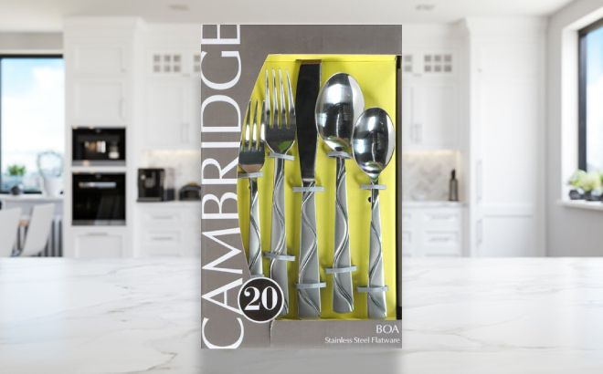 New in Box service for 4 Cambridge BOA Stainless Steel Flatware 20 Piece Set 