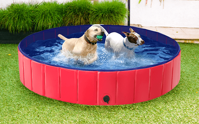 Extra-Large Foldable Pet Swimming Pool $20
